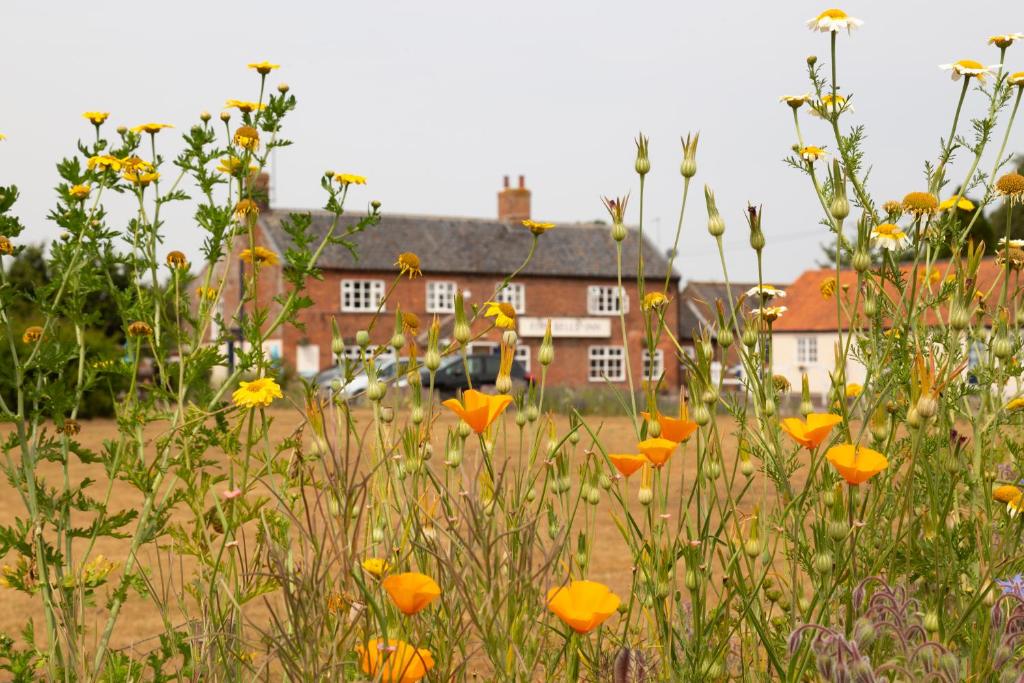 a field of flowers with a house in the background at Five Bells Inn, Wrentham in Wrentham