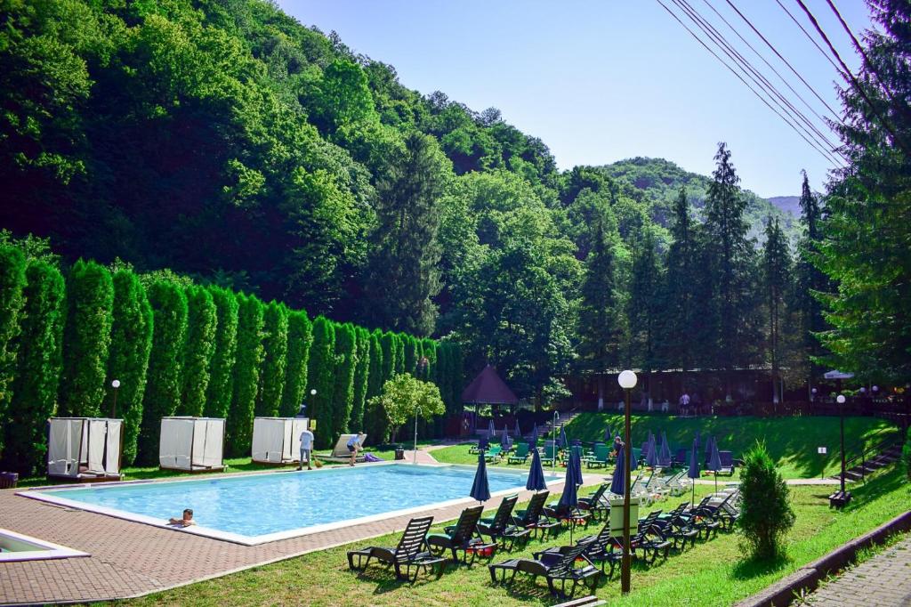 a large swimming pool with chairs and trees at Valea lui Liman in Tomeşti
