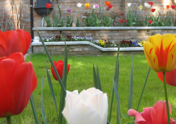 Zahrada ubytování Bed and Breakfast Casa delle Rose Lido Venezia