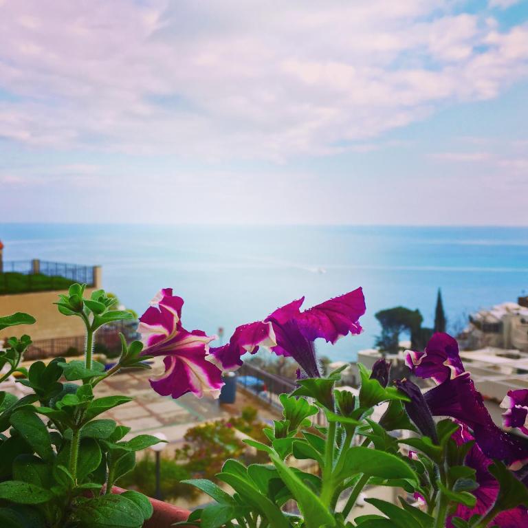 a group of purple flowers in front of the ocean at Hotel Villa Delle Palme in Positano in Positano