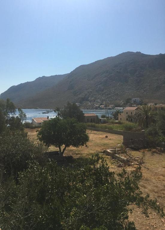 a field with a tree in front of a mountain at "STELIOS & GALINI" in Symi