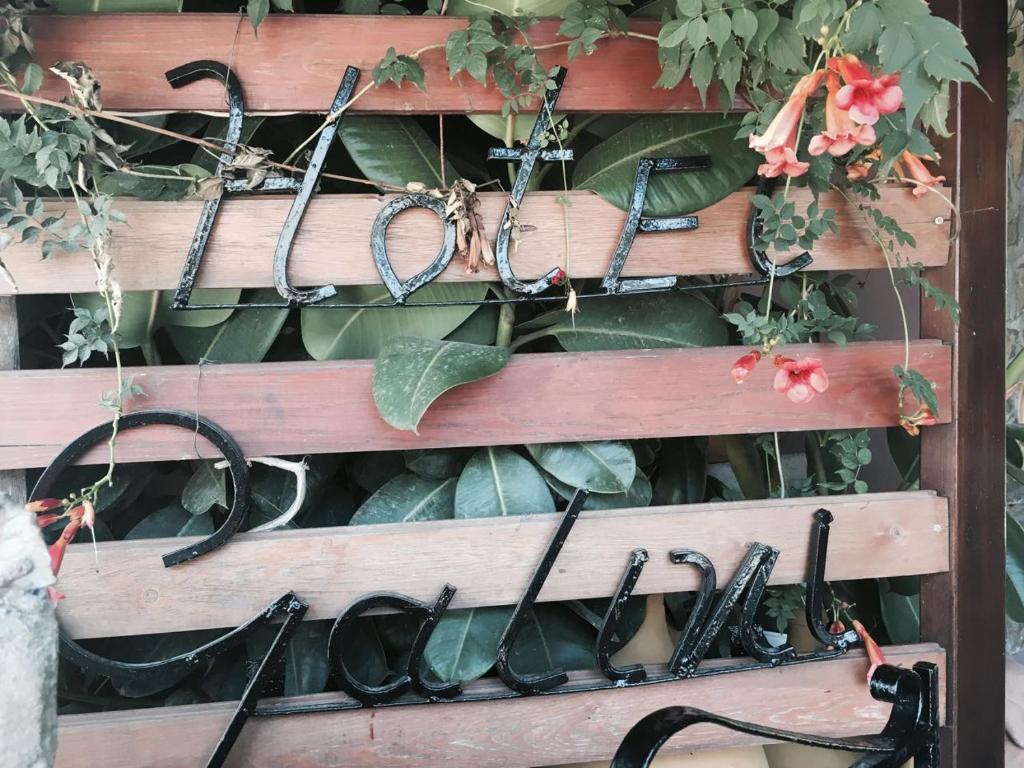 a wooden rack with pairs of glasses and plants at "STELIOS & GALINI" in Symi