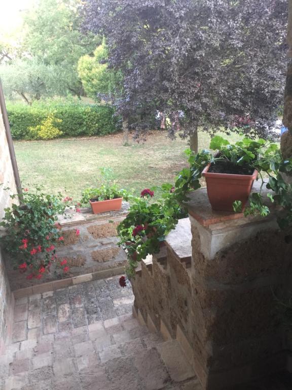 Ogród w obiekcie Agriturismo Casale Loreto
