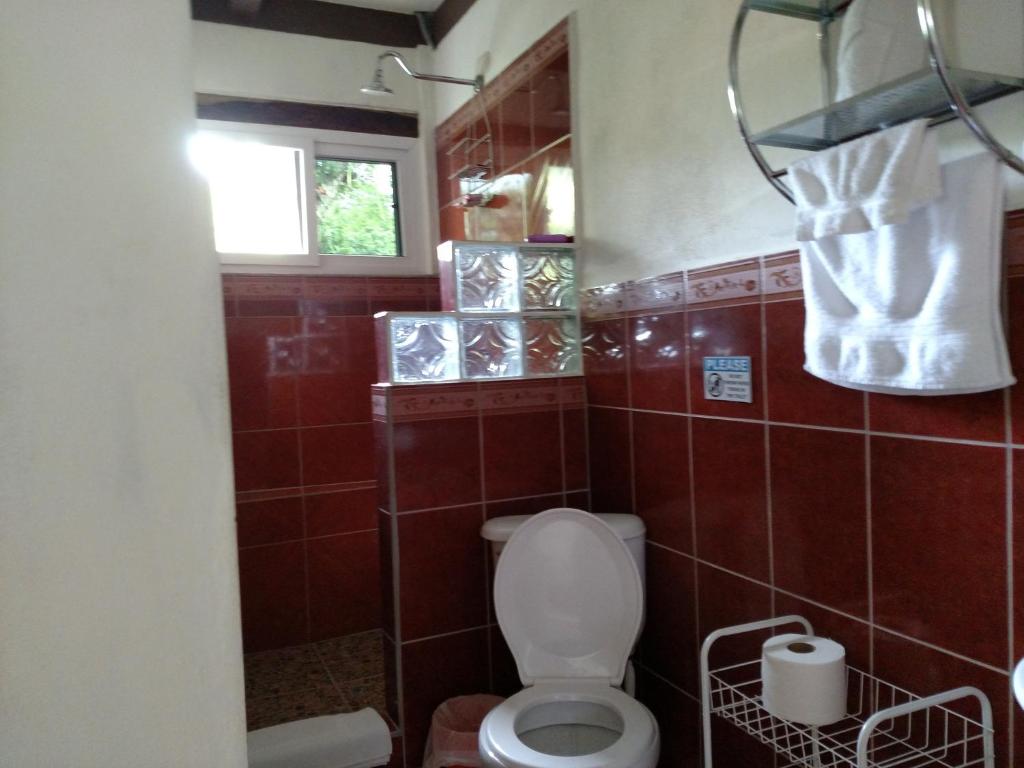 Zapote Tree Inn - Economy Quadruple Room