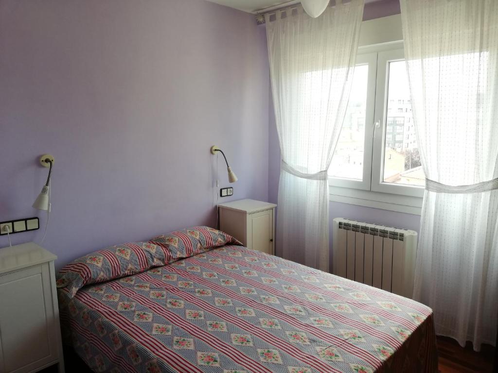 Schlafzimmer mit einem Bett und einem Fenster in der Unterkunft Apartamento Santa Marta in Santiago de Compostela