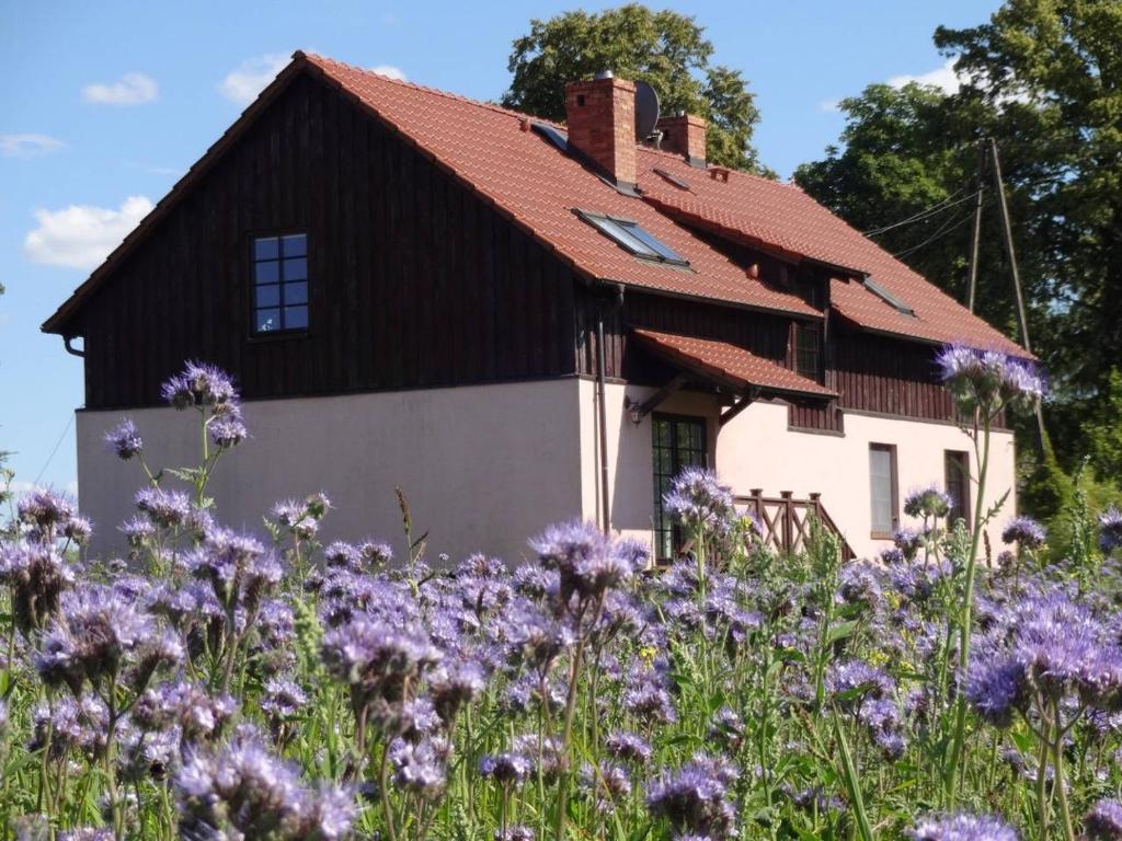 Bogacko Mazuria lake district, Bogacko (updated prices 2025)