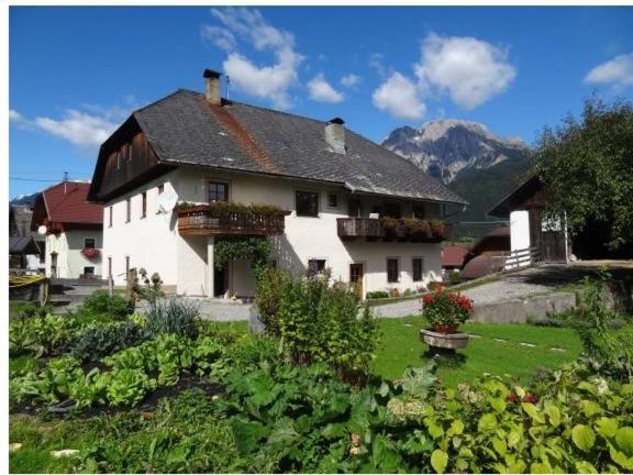 Zdjęcie z galerii obiektu Lissis Bauernhof Appartments w mieście Gundersheim