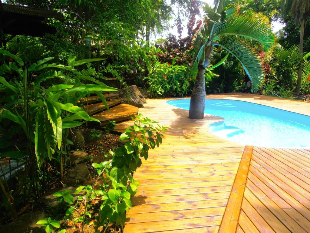 a wooden walkway next to a pool with a palm tree at Les Manguiers in Deshaies
