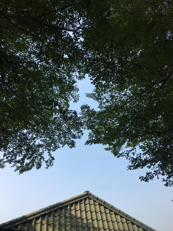 a shingled roof of a house with trees overhead at Song Youf Hostel in Zhongpu