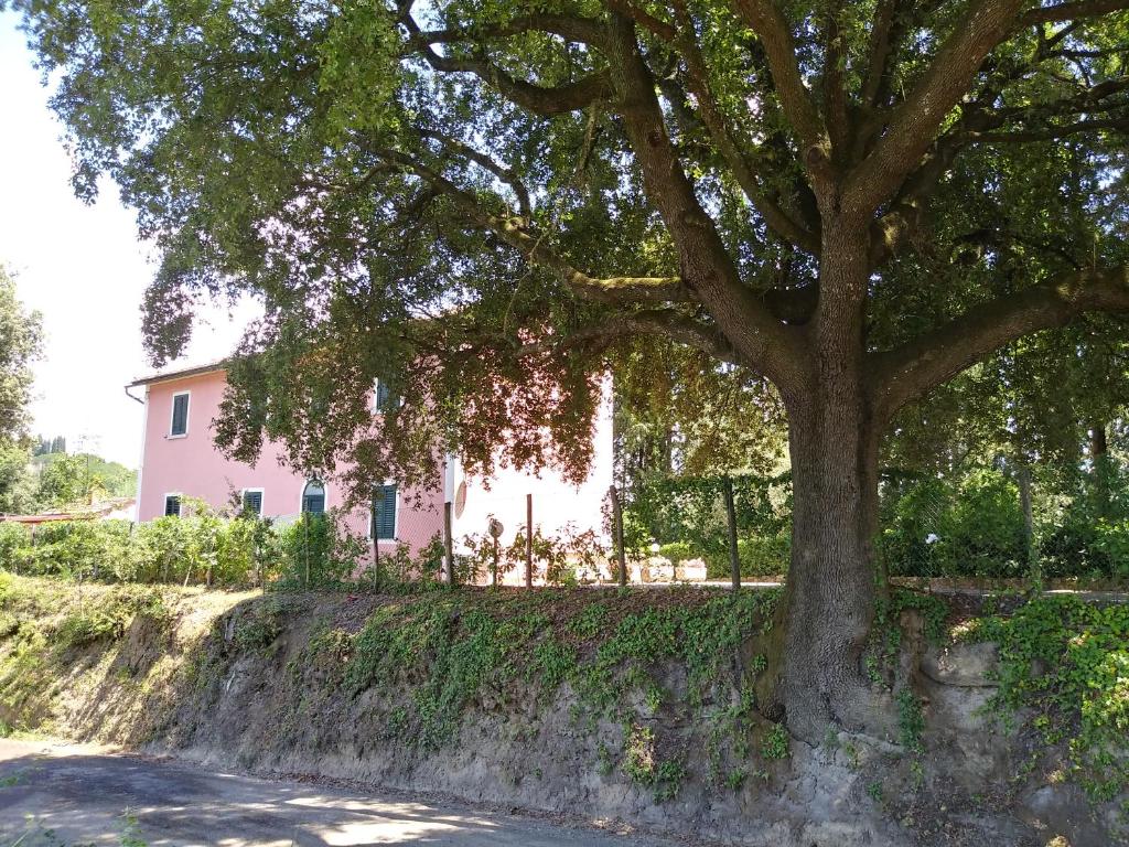 Zahrada ubytování Podere Il Leccione
