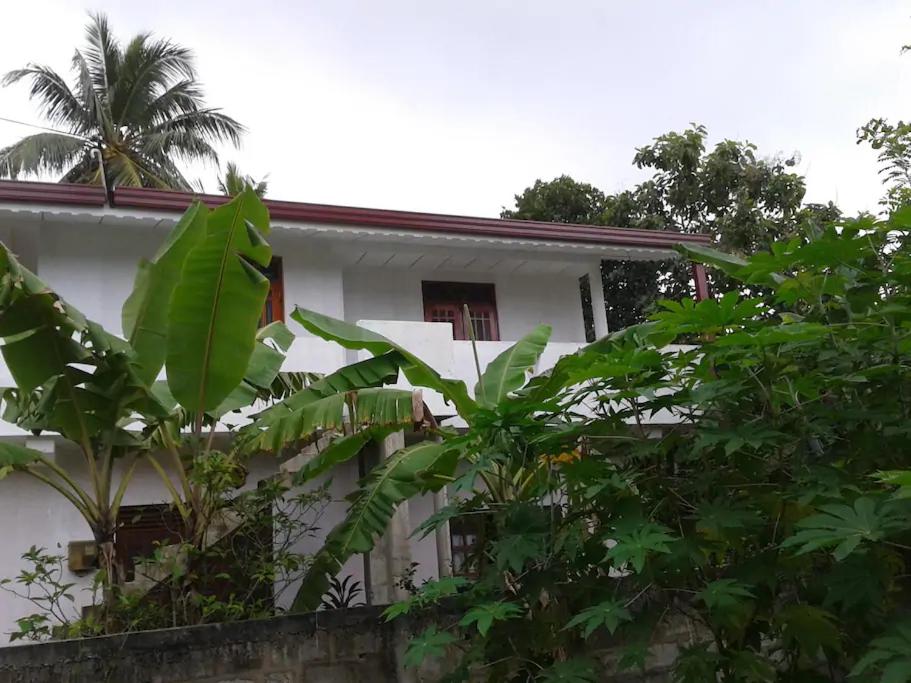 a white house with trees in front of it at Ishitha Homestay in Tangalle