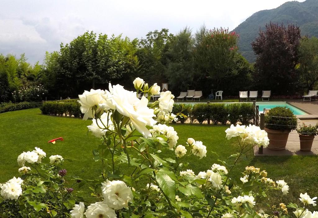 Zahrada ubytování IRIS 1 lago di Como