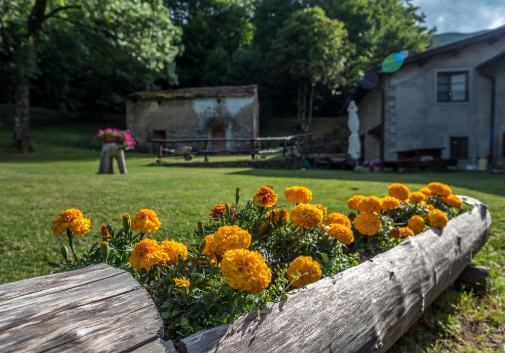 A garden outside I 3 Porcellini
