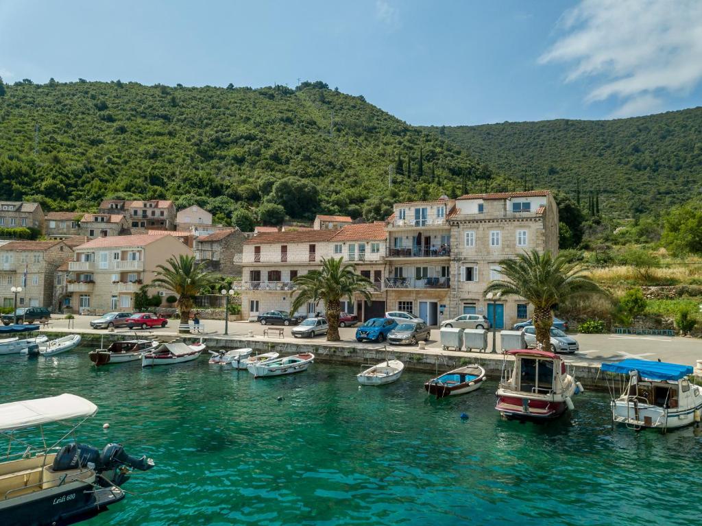 a group of boats are docked in a harbor at Divna Apartments and Rooms in Račišće