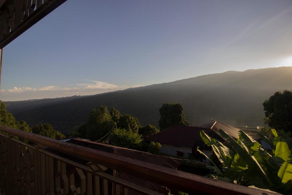 Príroda v okolí hostela