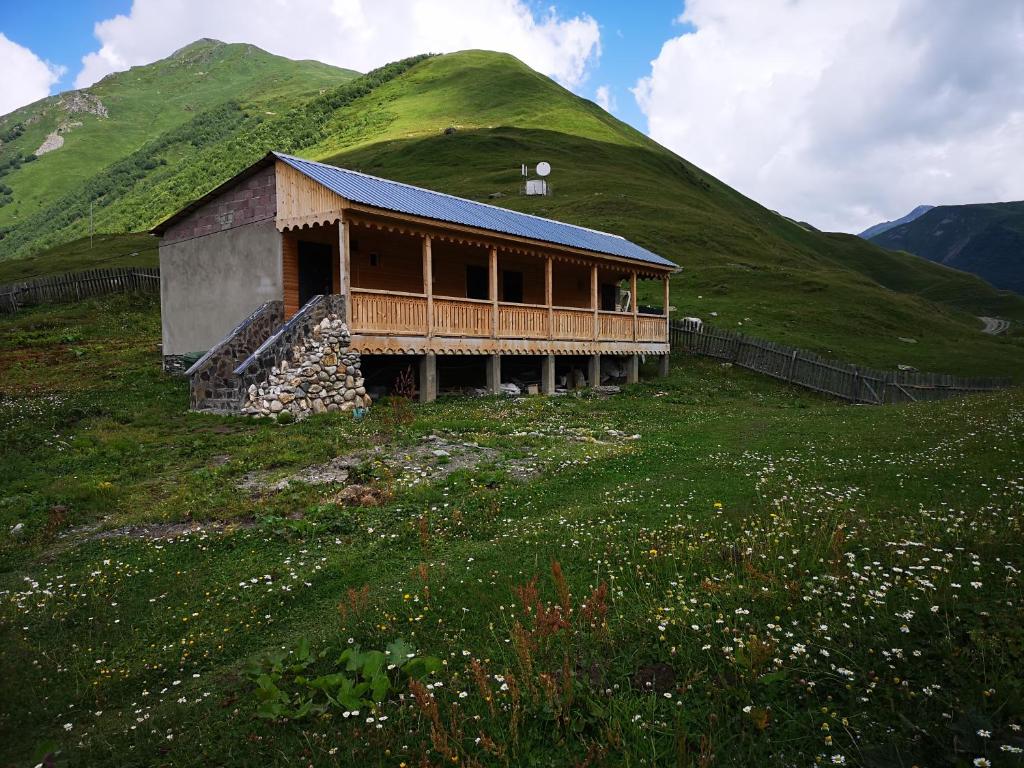 une maison sur une colline avec une colline herbeuse dans l'établissement Maxvshi, à Ushguli