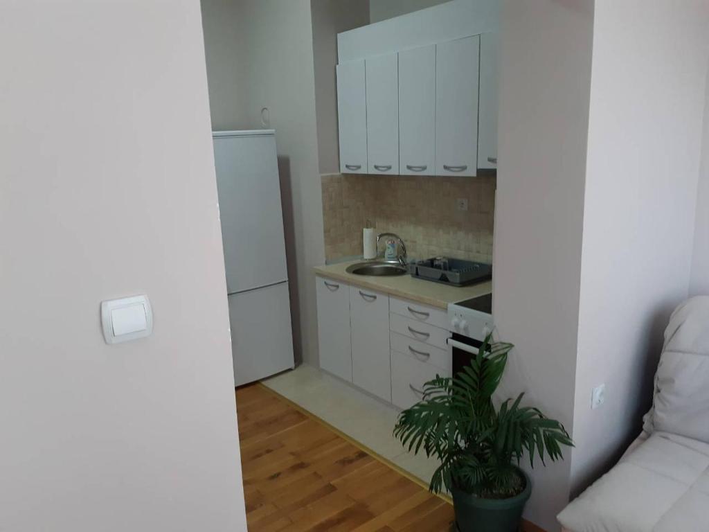 Kuchyň nebo kuchyňský kout v ubytování Stankovic Apartman