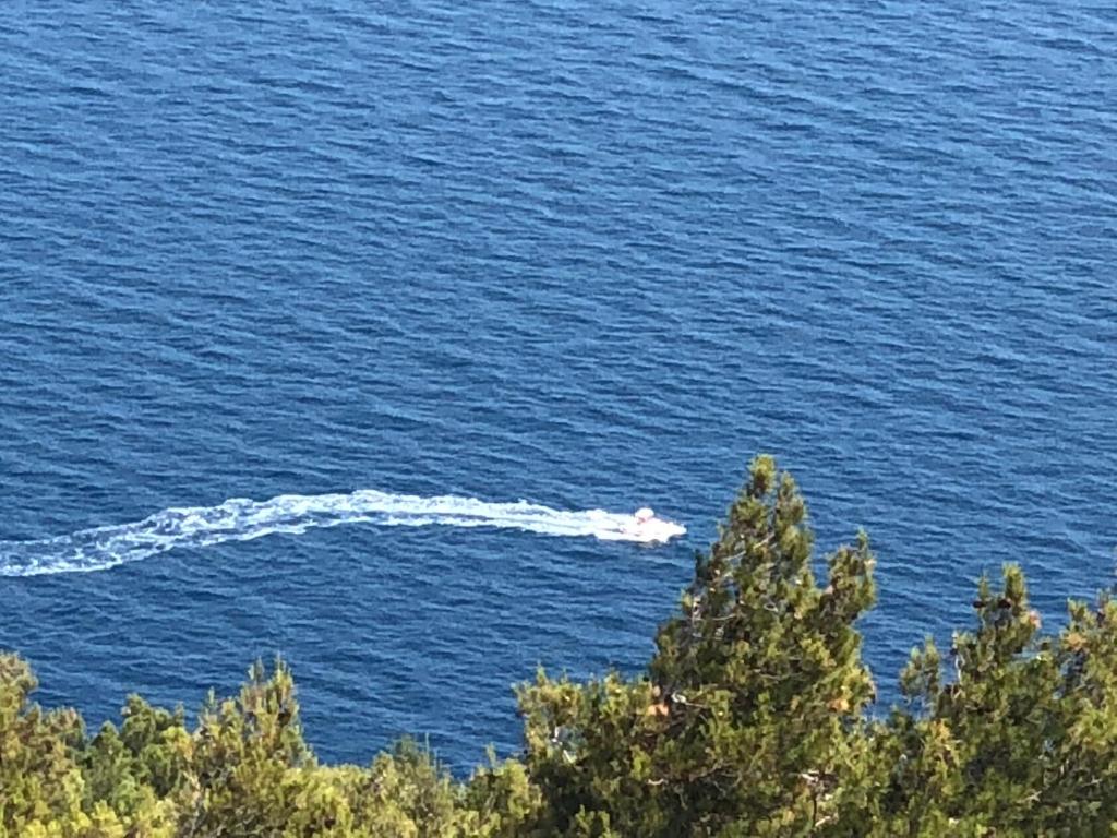 Apartments Roberta - 5