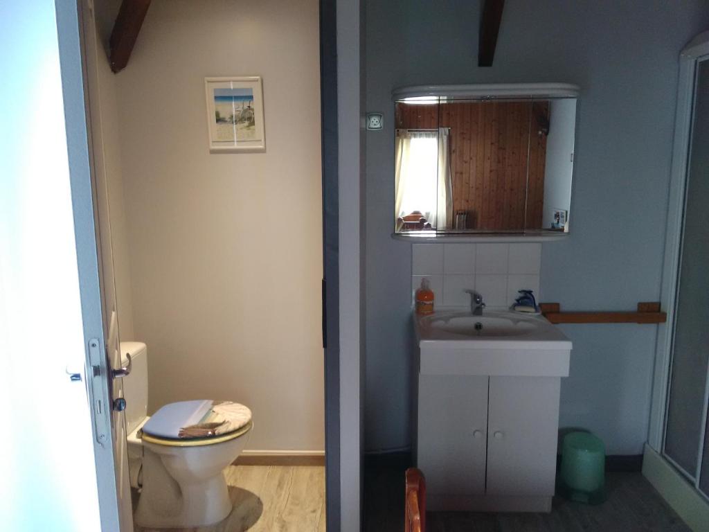 a bathroom with a toilet and a sink at Chambre Chez l'Habitant in Ambarès-et-Lagrave