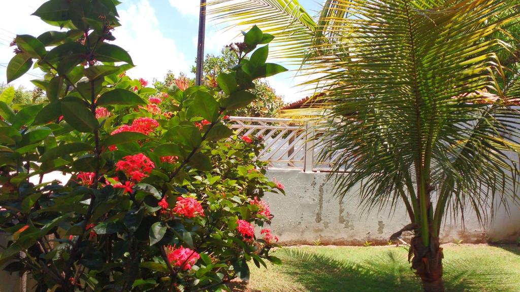 Sobrado Aguiar
