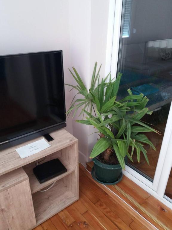 TV a/nebo společenská místnost v ubytování Stankovic Apartman