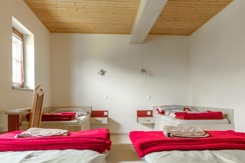 Postel nebo postele na pokoji v ubytování Apartments Petek