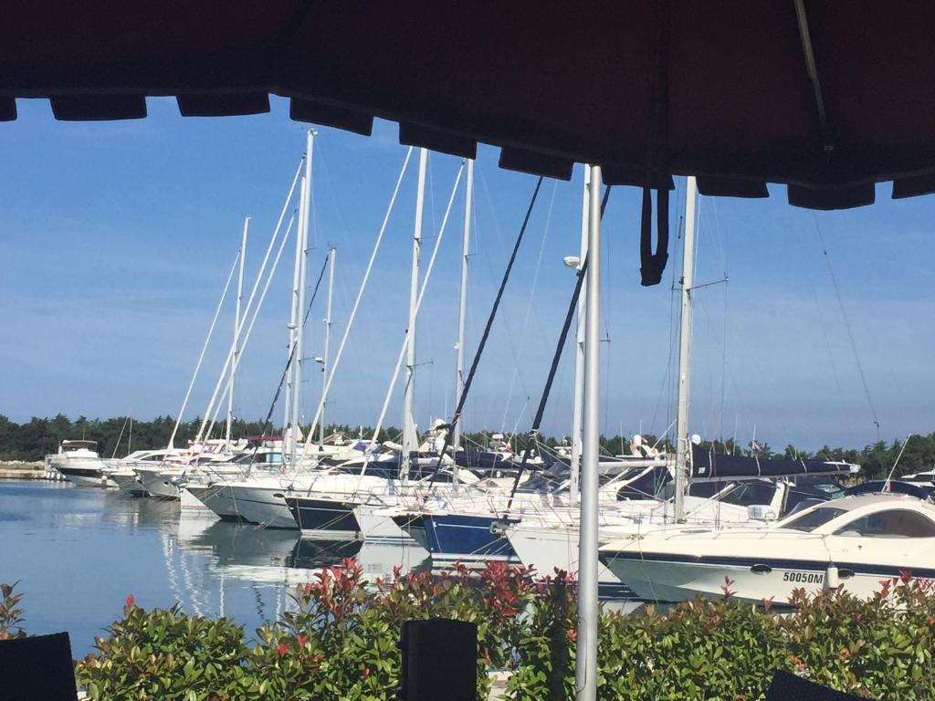 Apartments Roberta - 4