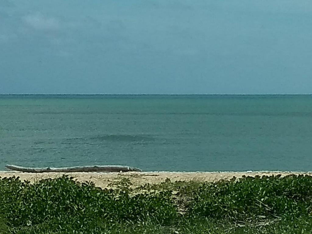  Sobrado Aguiar