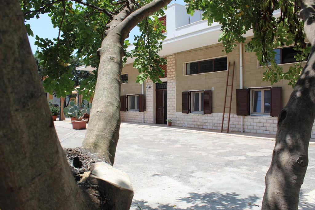 un árbol frente a un edificio en Da nonno, en Pezze di Greco