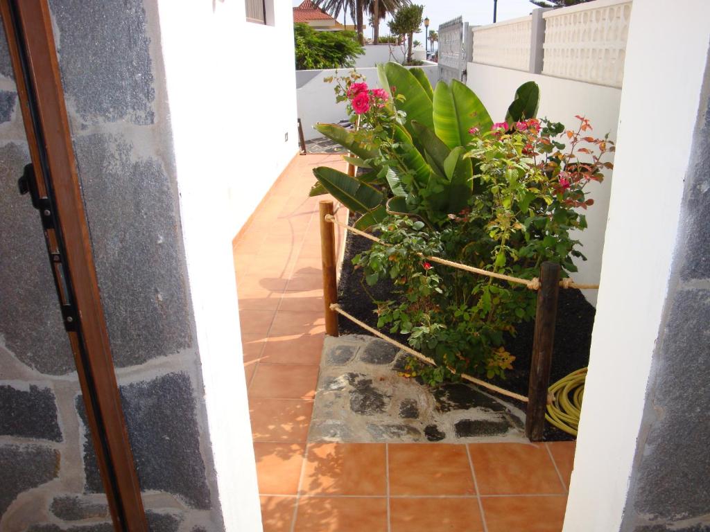 Fotografia z galérie ubytovania Paradise Apartment 1 Minute from the beach v destinácii Corralejo
