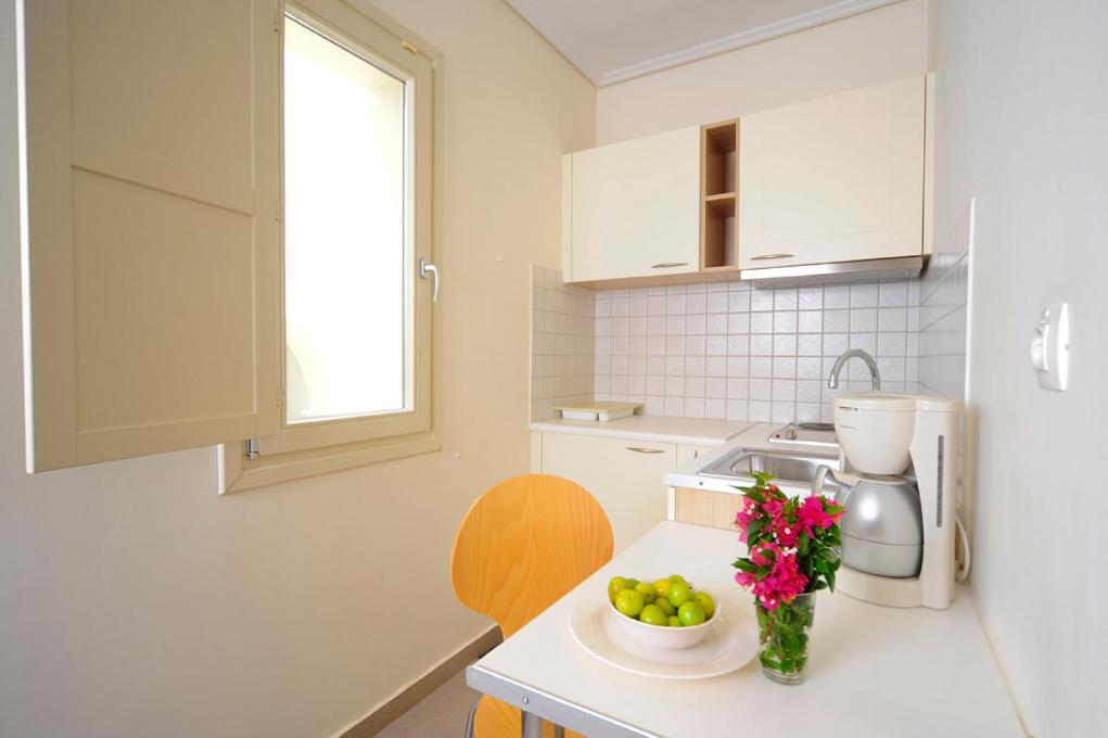 Kuchyň nebo kuchyňský kout v ubytování Petrokalli Houses