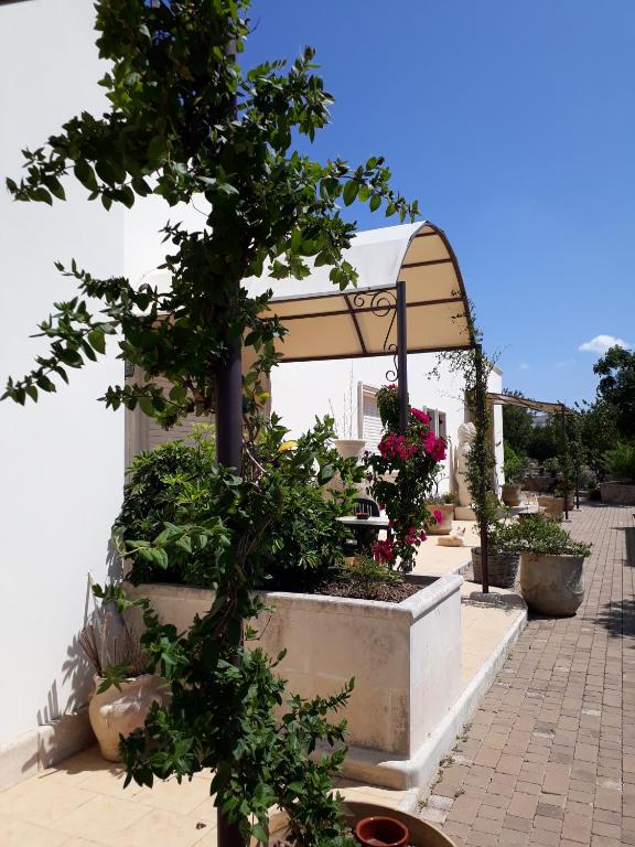 Zahrada ubytování Almacanto B&B