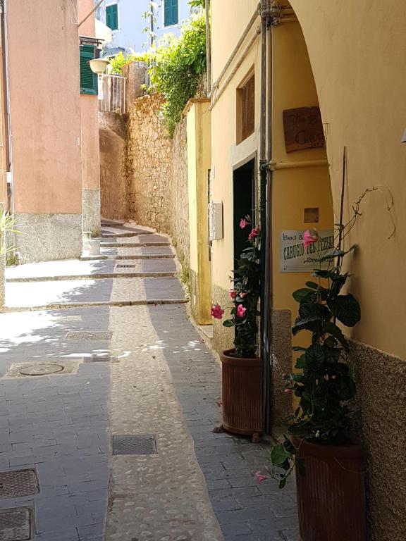 Fotografie z fotogalerie ubytování carugio del fezzano v destinaci Fezzano