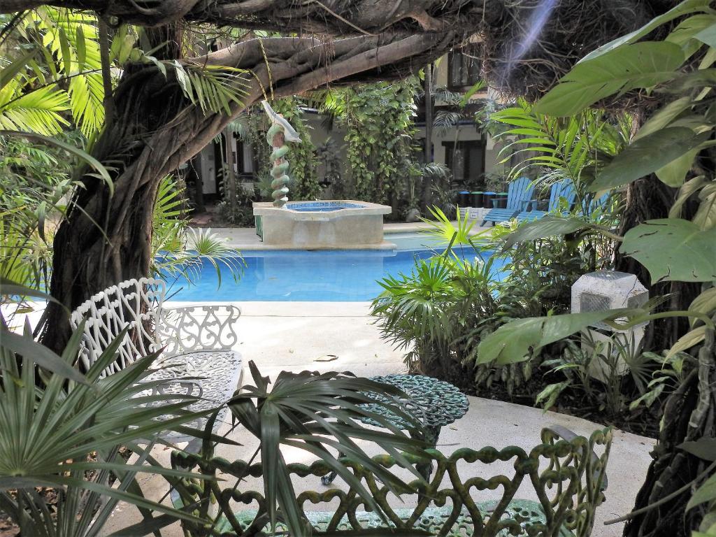 A piscina localizada em Eco-hotel El Rey del Caribe ou nos arredores