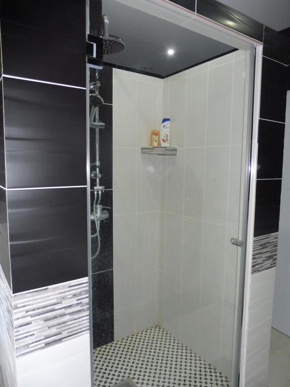 Koupelna v ubytování 4 Chambres meublées et un seul studio avec petite cuisine