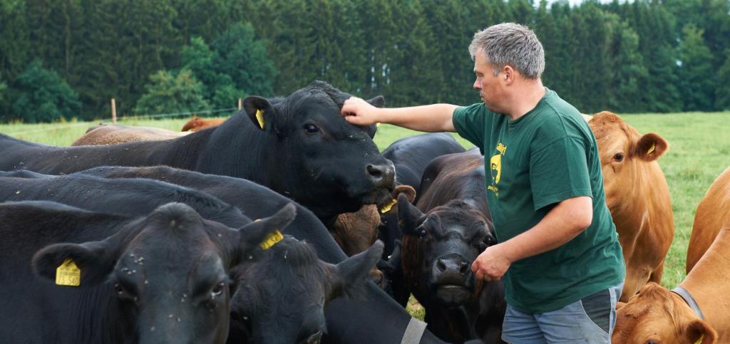 Zvířata v penzionu – hostince nebo okolí