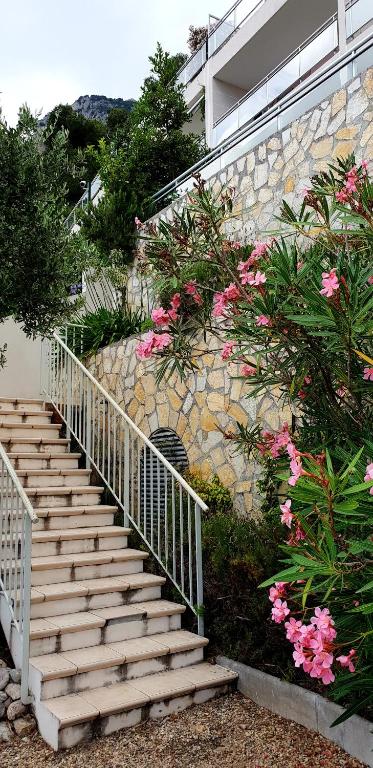 Zahrada ubytování La terrazza di monaco