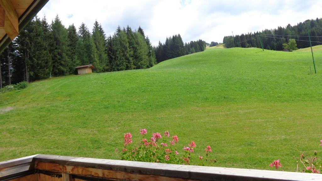Zahrada ubytování Gasthaus Dorfberg