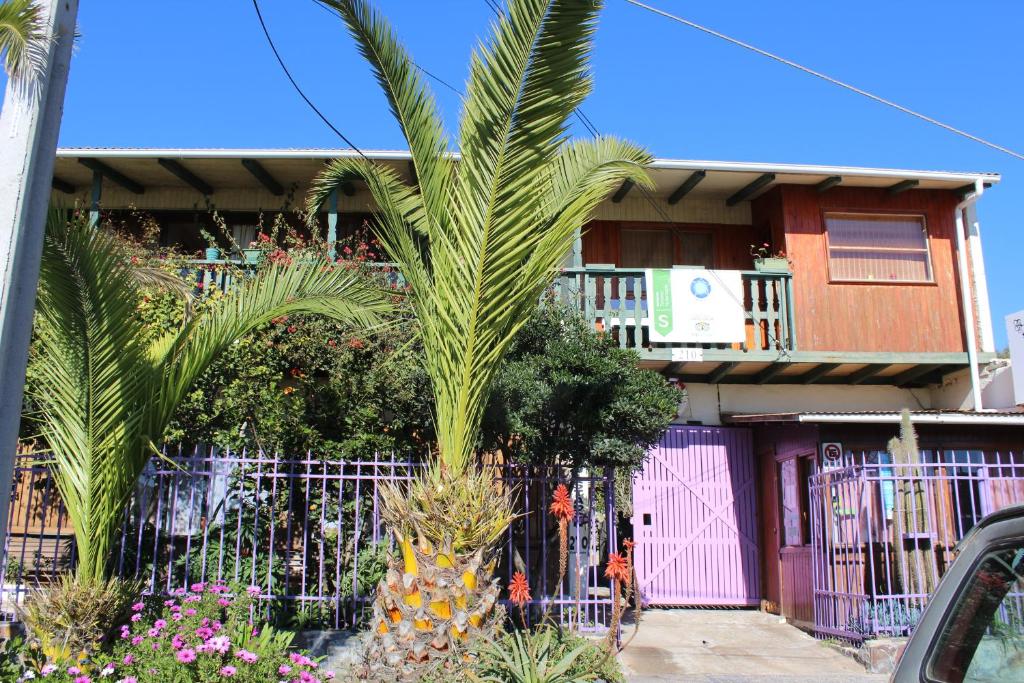 a palm tree in front of a house at Hostal El Conquistador in Los Vilos