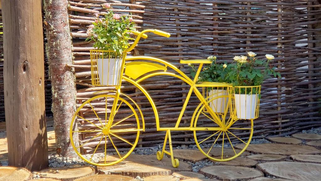 Fotografie z fotogalerie ubytování Paradise Village v destinaci Ashford