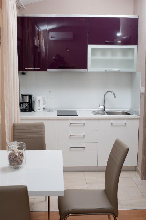 Kuchyň nebo kuchyňský kout v ubytování Apartments Vlasic