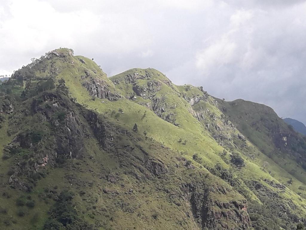 adam's apple homestay - 1