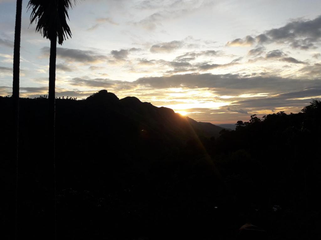 adam's apple homestay - 2