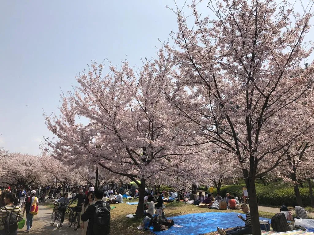 Shin En Kaku, Higashiosaka, Japan