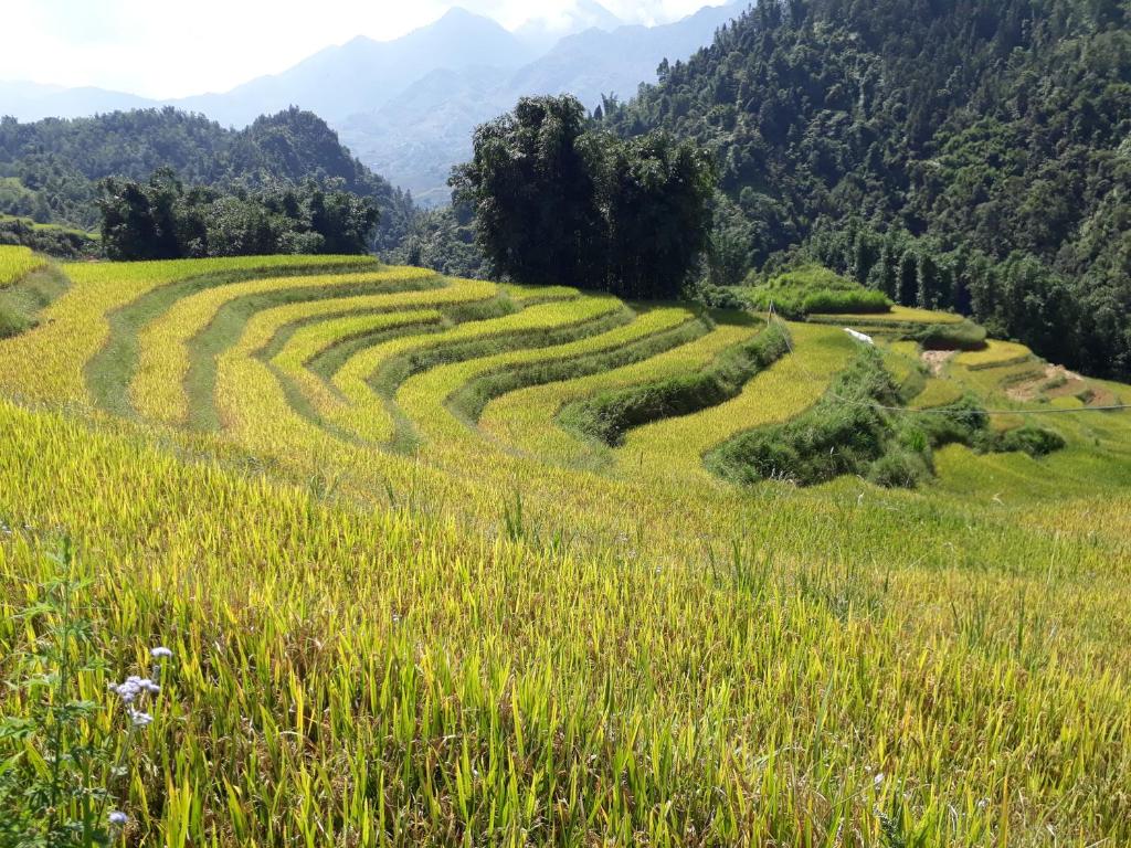 SaPa Farmer House - 10
