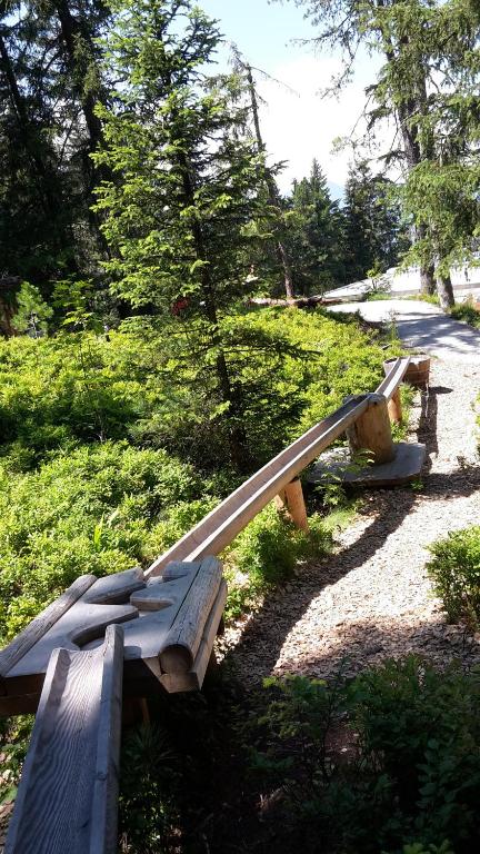 Príroda v okolí apartmánu
