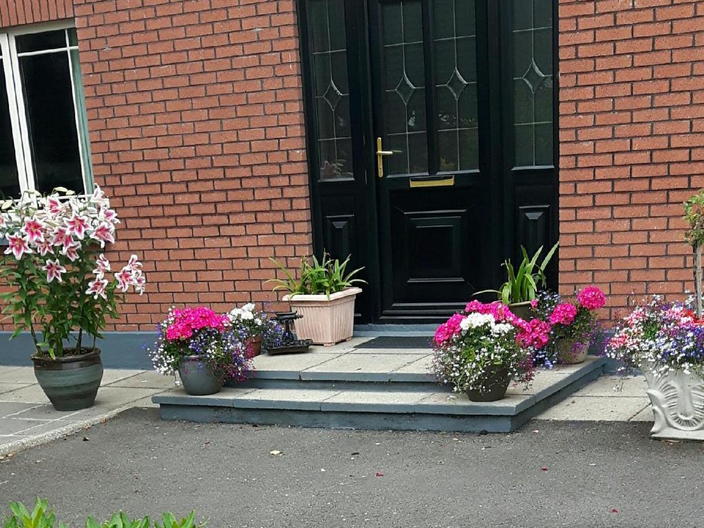Zahrada ubytování Scapaflow B&B