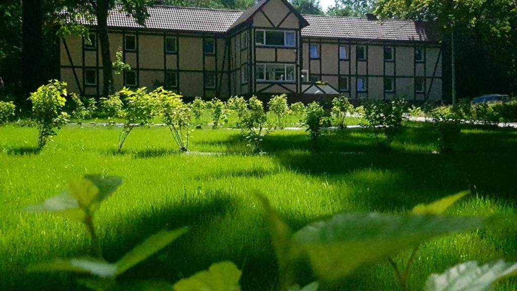 una casa en un campo de césped verde con un edificio en Centrum Noclegowe Amfiteatr en Kłodzko