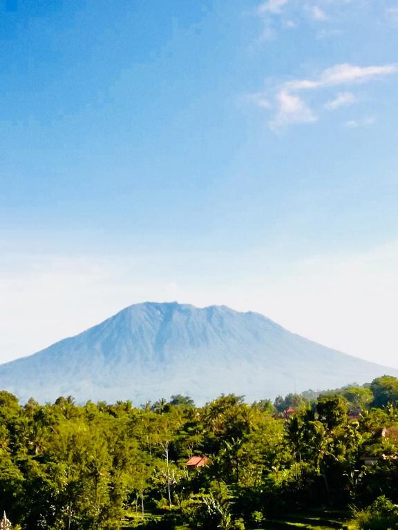 Amrita Villa Sidemen - 1