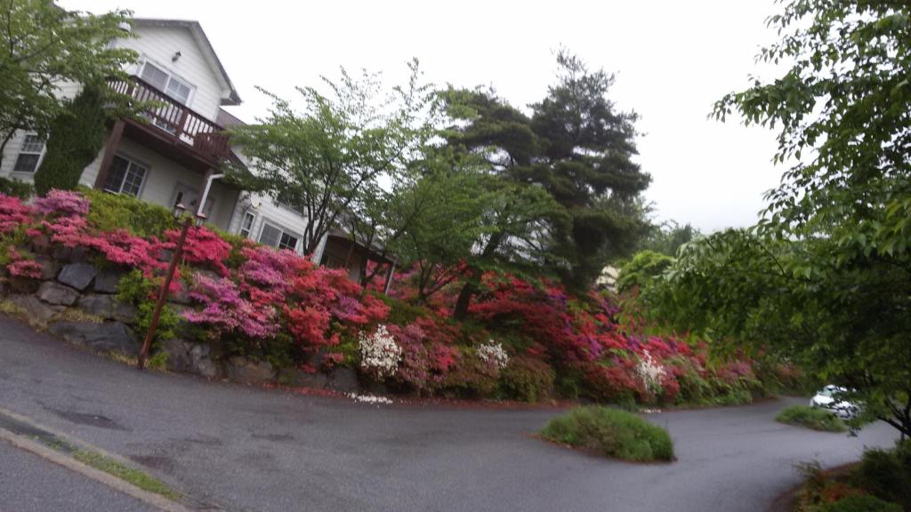 a house with pink flowers on the side of a street at Daecheon Ocean Hill Pension in Boryeong